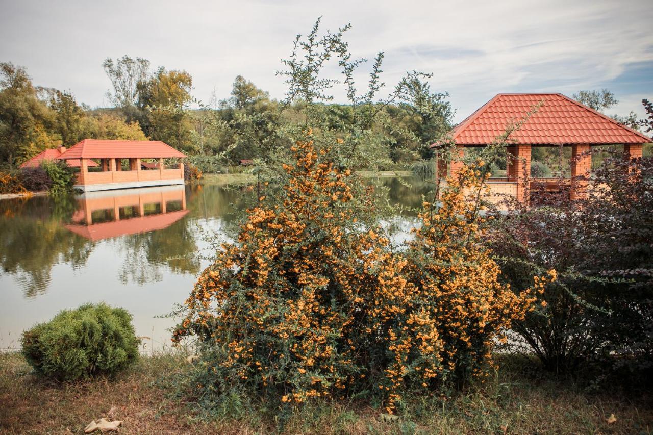 Illara Spa Hotel Irshava Exterior photo
