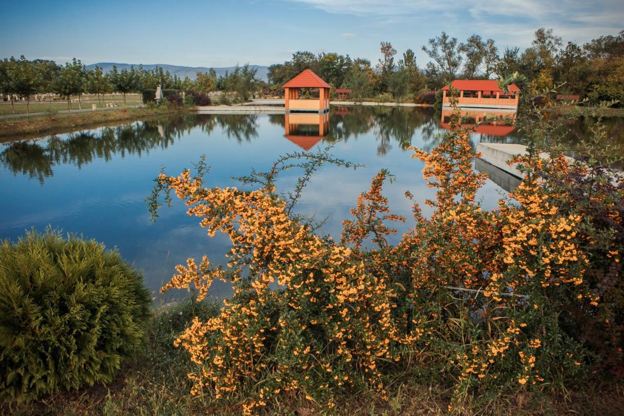 Illara Spa Hotel Irshava Exterior photo